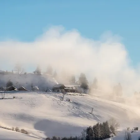 Hotel Aktiv- Und Wellnesshotel Gutjahr 4*