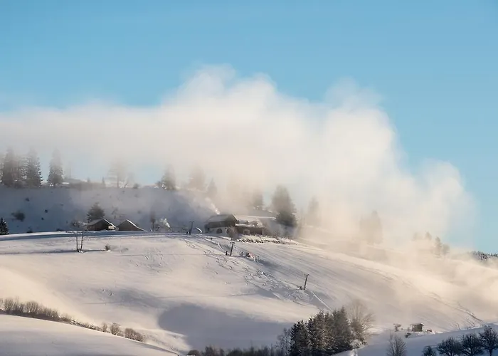 Hotel Aktiv- Und Wellnesshotel Gutjahr 4*